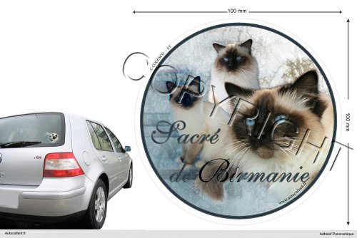 Pets-easy Autocollant Chat Circulaire 10 Cm Sacree-de-Birmanie