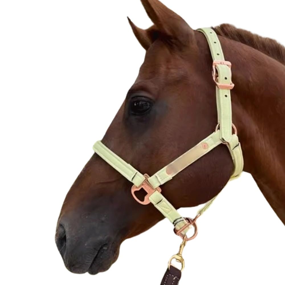 Bridas Anatómicas para Caballos Bridas De Latón y Cuero De Microfibra para Caballos Bridas Sin Puntas Ajustables Suaves y Duraderas (Color : Yellow, Size : L)