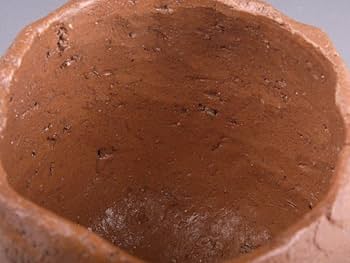 Amazon.co.jp: 5941 清水志郎 聚楽土茶碗 人間国宝清水卵一の孫