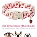 Babole Pet Cute Spring/Summer Dog Collar, Adjustable Pink Strawberry Dog Collars for Puppy Small Dogs, Lightweight Quick-Release Buckle Collar for Boy&Girl Dogs XS