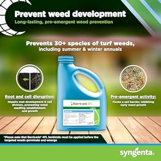 Barricade 4FL Herbicide - 1 Gallon