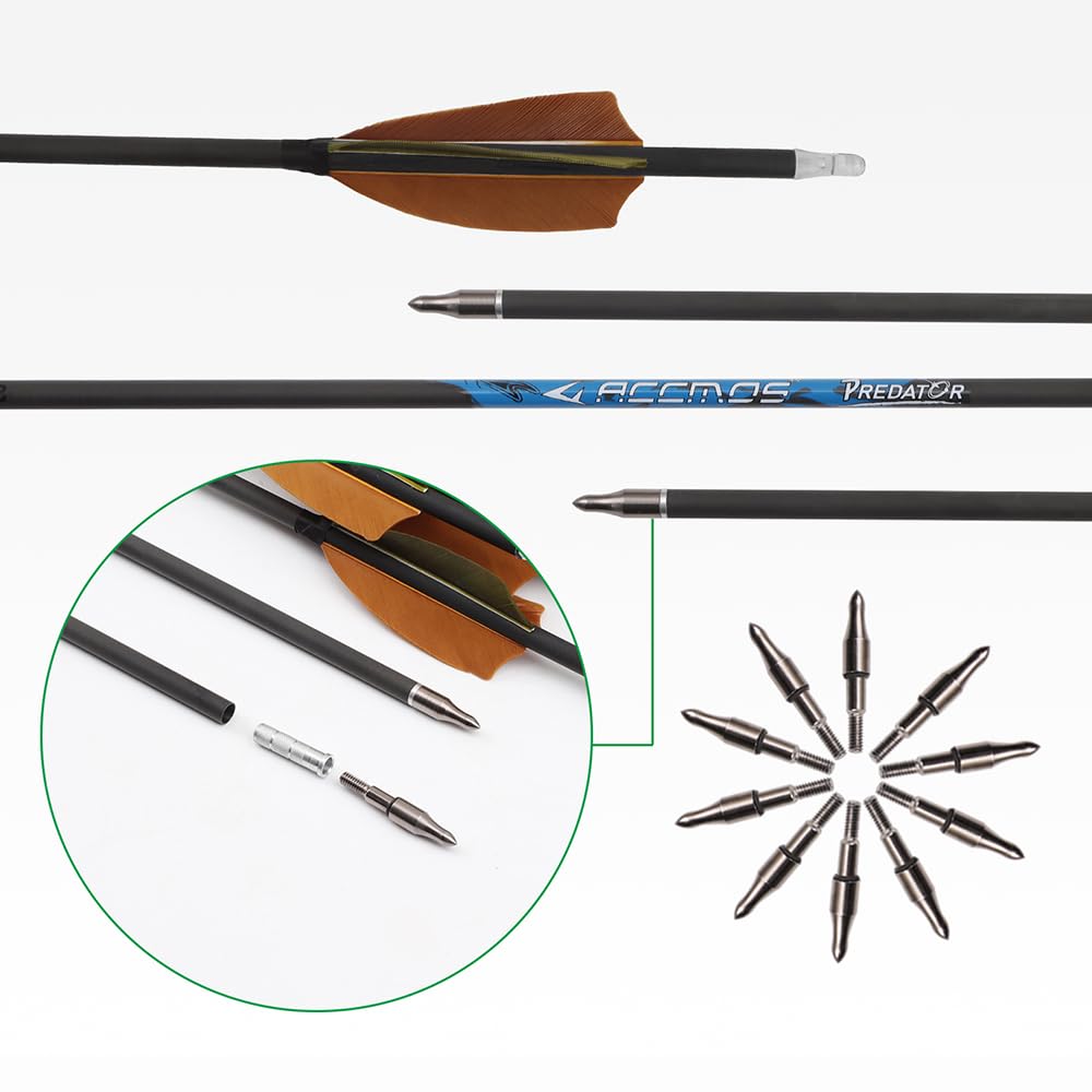 12 Stück Jagdpfeile ID 6,2 mm Spine 250 300 350 400 500 600 700 800 Mikrospiral-Feder Pfeil, für Recurvebogen Compoundbogen Bogenschießen