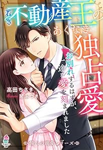 若き不動産王のあくなき独占愛～お別れするはずが、一途な愛を刻まれました～【憧れの溺愛シリーズ】 (マカロン文庫)