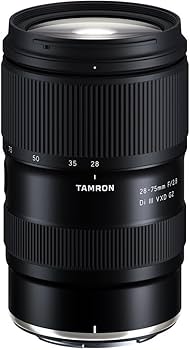 Amazon.com : Tamron 28-75mm f/2.8 Di III VXD G2 Lens for Nikon Z