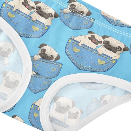 Joisal Cute Cartoon Pugs Blue Girls Underwear Toddler 2t Cotton Panties for Girl Print Briefs Undies Kids4