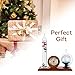 Lily's Home Analog Weather Station with Galileo Thermometer, Glass Barometer, and Analog Hygrometer, Ideal Gift for Friends and Family, Indoor & Outdoor Home Décor (10.5 in x 12 in)