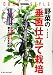 道法スタイル 野菜の垂直仕立て栽培