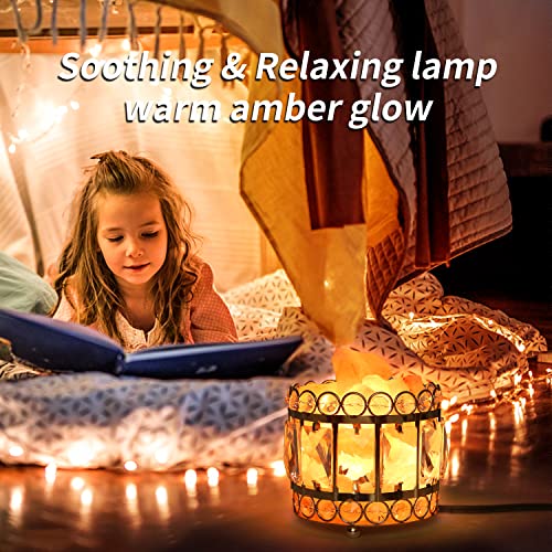 Wreverw Natural Himalayan Pink Salt Lamp, Crystal Salt Rock Lamp Night Light With (Ul Certified) Brightness Control Dimmer Switch,Metal Base & Salt Lamps Bulb,4.6 Lbs #TOP3