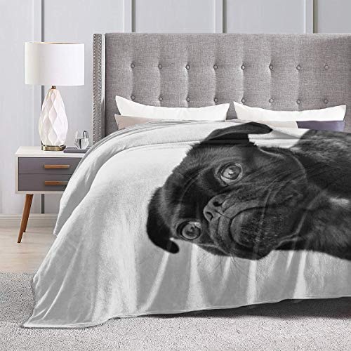 Cute-Black-Pug-Dog-Printed-Blanket-Throw-Lightweight-Soft-Micro-Fleece-Throw-Blankets-Fit-Couch-Bed-Living-Room-Sofa-Chair-60X50 Cute Black Pug Dog Printed Blanket Throw Lightweight Soft Micro Fleece Throw Blankets Fit Couch Bed Living Room Sofa Chair 60X50