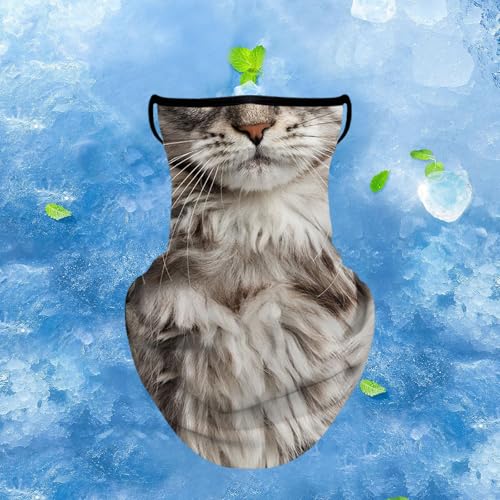 Animal Pattern Neck Gaiter Face Cover with Ear Loops, Sun Protection Cooling Bandana for Outdoor Activities, 9.84x15.75inch- Style B4