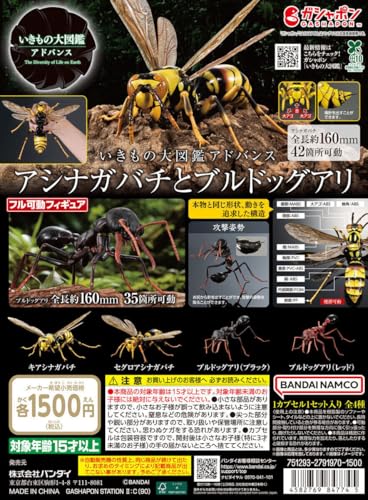 いきもの大図鑑アドバンス アシナガバチとブルドックアリ [全4種セット フルコンプ] ガチャガチャ カプセルトイ