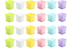 24 Pack Colorful Tiny Planters with Saucers Decorate Your Balcony And Home