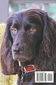 レノックス猫 ( 犬 ) Tender Devotin Spaniel Dog レノックス猫 ( 犬 ) Tender Devotin Spaniel Dog