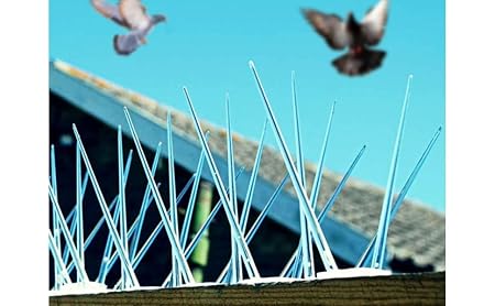 SPIKEBAZAAR (Set of 200) Bird Spikes & Pigeon Spikes Bird Spikes Polycarbonate Bird,Pigeon Spikes, Bird Spikes,Pigeon Problem Solutions, Uv Treated Bird Spikes for Outdoor AC Unit & Balcony