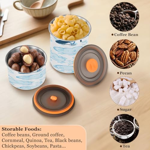 Contenedor hermético para café Qilmy 500ml acero inoxidable miniatura 6