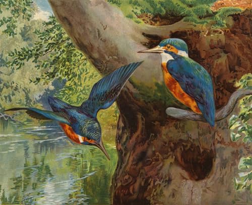 Cuadro en lienzo para oficina: arte clásico de Charles Collins en formato 60x90cm