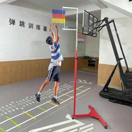 How To Use An Isometric Dynamometer Leg