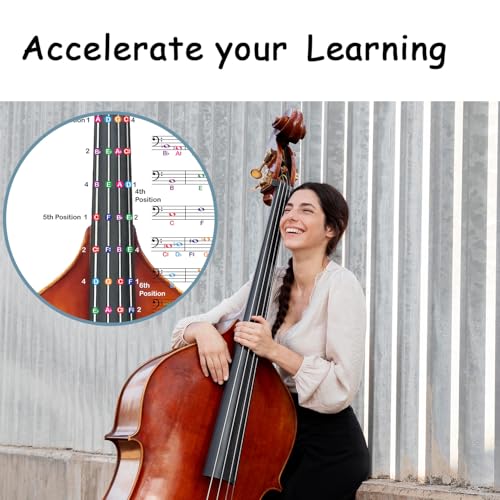 QMG Upright Bass Fingering Chart with Color-Coded Notes, Double Bass Chart Suitable for All Levels, Laminated, Size 11” x 17”