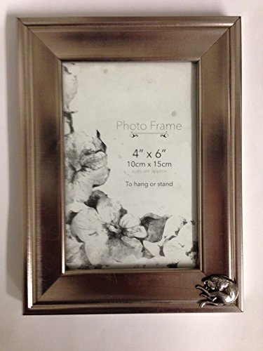 Cadre photo Stretching Cat R202 en étain argenté 10x15 cm à poser pour décoration chat chic
