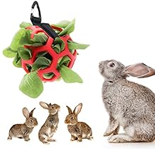 Tirifer Rabbit Guinea Pig Chinchilla Feeder Ball, 5.5 in Diameter, Hay Waste Reducer, Hanging Cage Toy, Fruit Vegetable Feeder, Foraging Toy