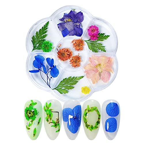 Flores secas para unhas - 3D Caixa de Flores Secas, Multicoloridas, Suprimentos de Decoração de Desi
