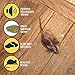 OurPets Play-N-Squeak Mouse Hunter Cat Toys (Interactive Cat Toy & Catnip Toy with Real Mouse Electronic Sound) Perfect Toys for Indoor Cats with Catnip