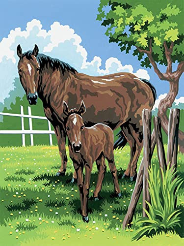 Paint by Numbers Junior "Mare & Foal", DIY Picture Approx. 33 x 24 cm, Includes 7 Acrylic Paints, Brush and Printed Painting Card, Ideal for Beginners and Children from 8 Years