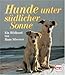 Produktbild Hunde unter südlicher Sonne. Ein Bildband
