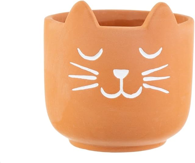 Sass & Belle Mini Cat's Whiskers Terracotta Planter
