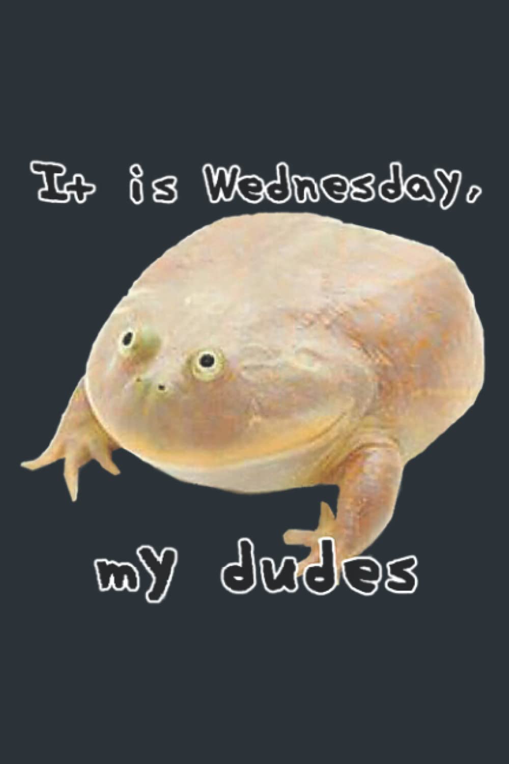 It is Wednesday My Dudes Funny Edgy Frog Meme