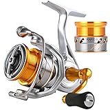 Der Rapid verfügt auch über eine versiegelte Aluminiumspule und eine Rotorstruktur, die verhindert, dass Wasser und Sand in das Getriebe gelangen.