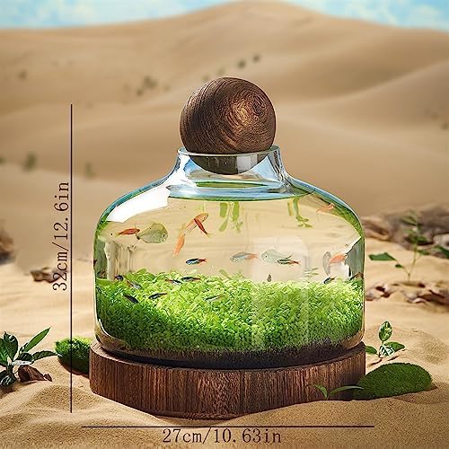 Eco-Friendly Fish Bowl Tank - Glass Bottle Miniature Landscape, Self-Circulating Plant Holder with Wooden Base, Ideal Desktop Aquarium Decor for Small Fish and Plants (Large)