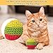 Retro Shaw Cat Toys Balls, Yarn Cat Ball with Bell Inside, Kitten Toys for Indoor Cats Kitty, Interactive Cat Nip Chew Toys for All Pet Breed 6 Pack