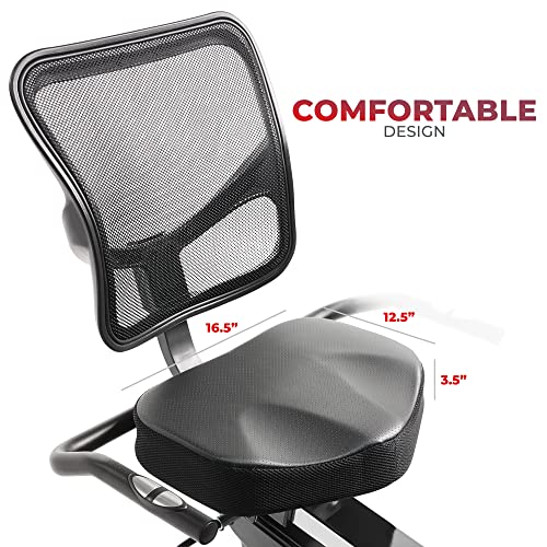 Sunny Health & Fitness Programmable 16 Levels Recumbent Exercise Bike Review