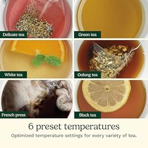 Cuisinart 1.7-Liter Stainless Steel Cordless Electric Kettle with 6 Preset Temperatures Cuisinart 17 Liter Stainless Steel Cordless Electric Kettle with 6 Preset Temperatures