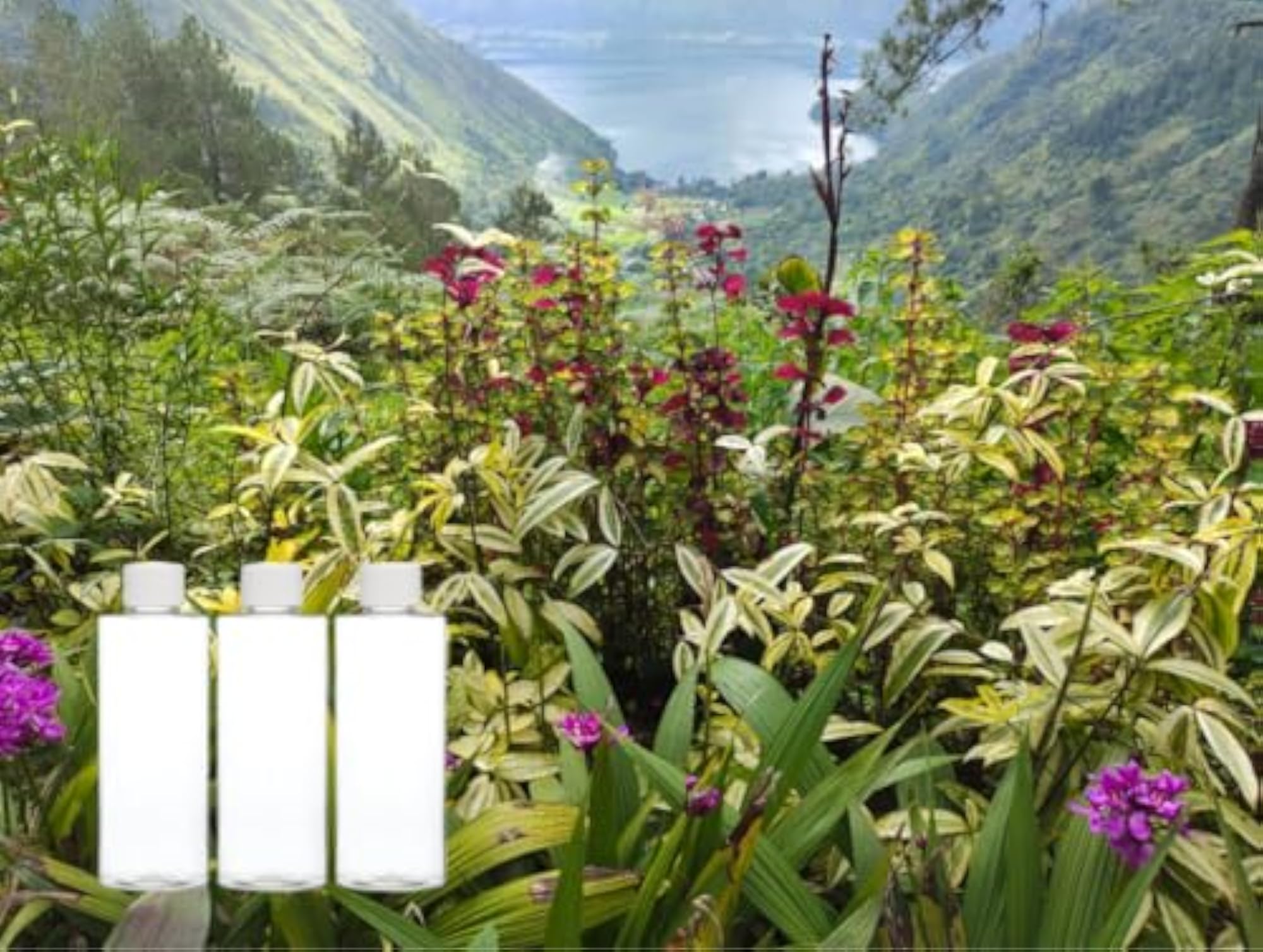Refillable Plastic Bottles, 3-Pack for Travel