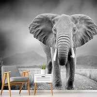 Wall Mural Elephant Removable Self-Adhesive Wallpaper Wall Decoration for Bedroom Living Room - 66x96 inches