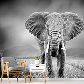 signwin Wall Mural Elephant Removable Self-Adhesive Wallpaper Wall...