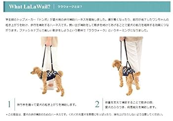 【新品】LaLaWalk 小型犬 ダックス 緑 チェック 歩行補助 ハーネス Amazon | 歩行補助ハーネスLaLaWalk小型犬・ダックス用 スクール