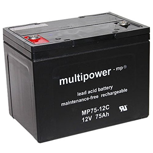AGI 89866 Acido piombo (VRLA) 12 V