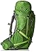 Osprey Men's Atmos AG 65 Backpack (2017 Model), Absinthe Green, Large