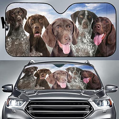 Pare-soleil avant pliable voiture universel contre la chaleur estivale motif chien taille L