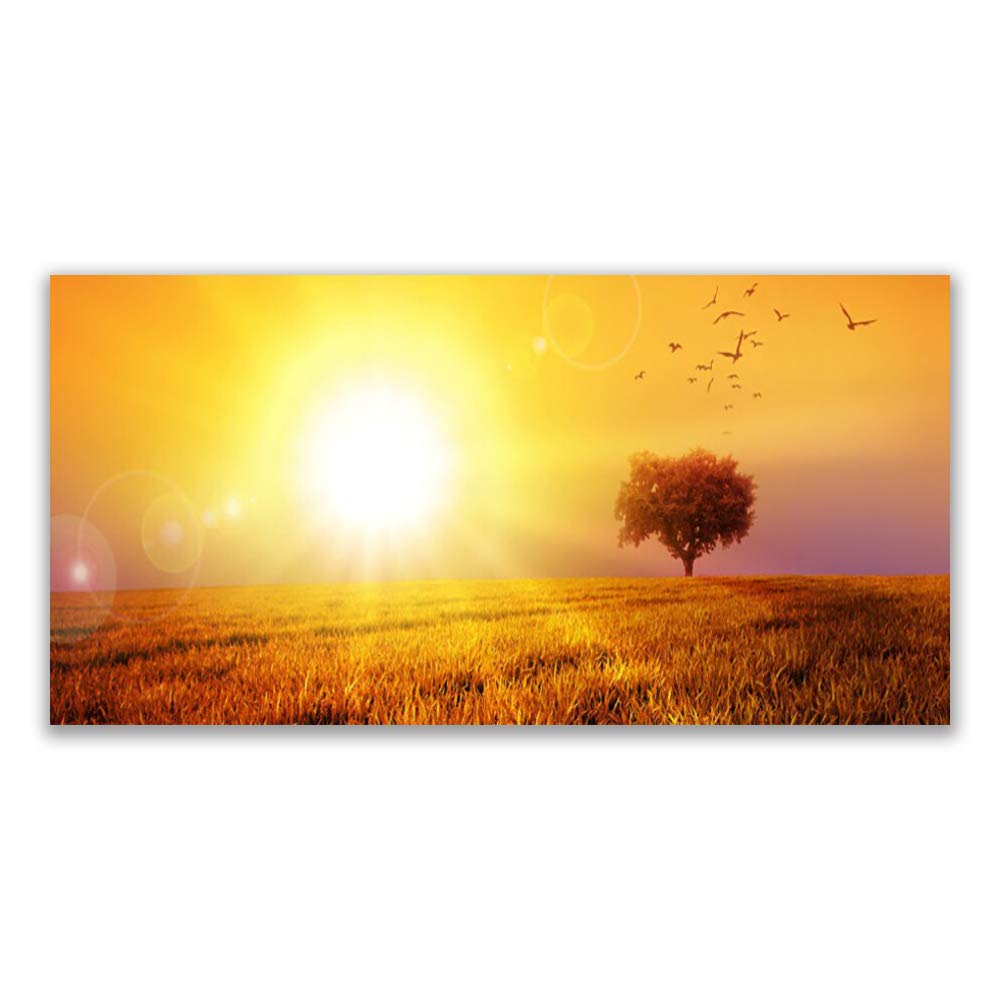 Impression sur verre trempé 120x60cm Tulup Sun Meadow tableau déco