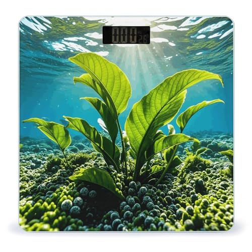 Báscula digital para baño Green Sea Blue con alta precisión