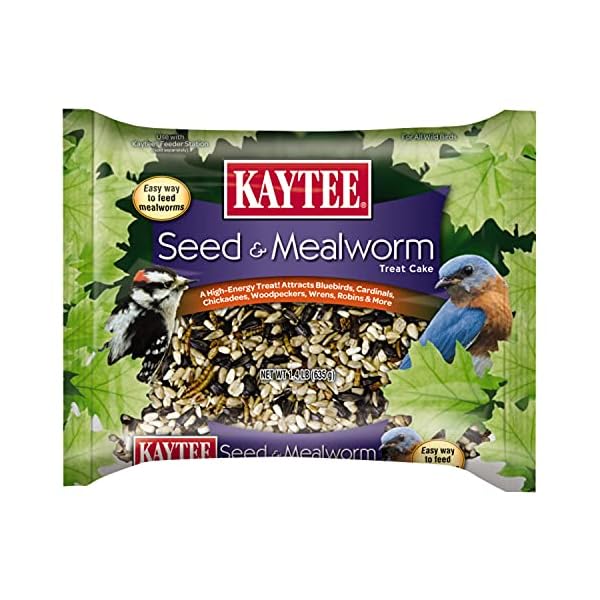 Kaytee Wild Bird Seed & Mealworm Seed Cake Food For Bluebirds
