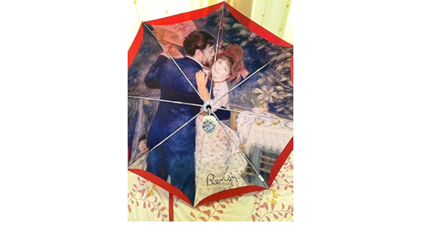 Amazon.co.jp: 彼女はキレイだった パクソジュン 韓国 ルノワール 傘