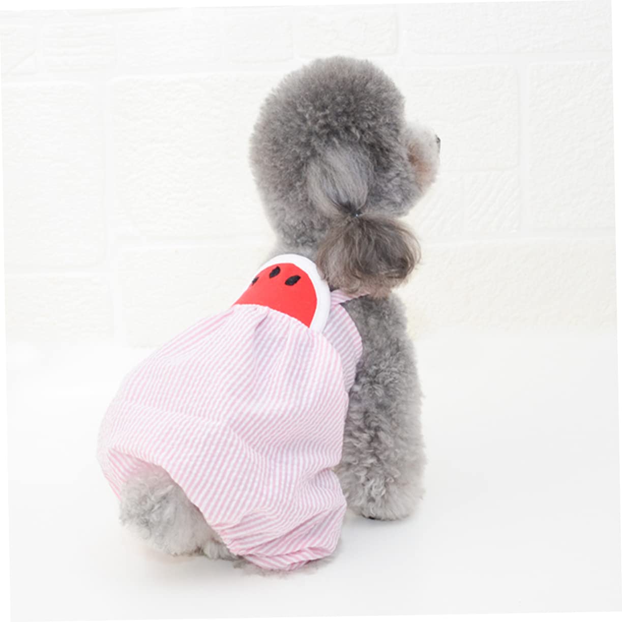 Angoily Lot De 3 Vêtements pour Animaux De Compagnie Motif Pastèque Pantalon À Bretelles pour Fêtes Mariages Et Photos