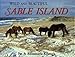 Wild and Beautiful Sable Island: Sand, Seals, Wild Horses, and Shipwrecks