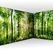 murando Fotomurales autoadhesivo Bosque 539x250 cm Papel Pintado Decoración de Pared Murales Pegatina decorativos adhesivos 3d moderna de Diseno Landscape Nature Paisaje Panorama c-A-0058-a-b