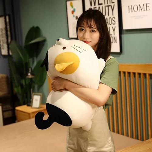 18p`150p @\ 傫TCYTCY L lR ˂ jR 艀c }V}Aj} ʂ ΂  zc ֎q\t@[w ᔽNV QYQ rOu  GObY lCn